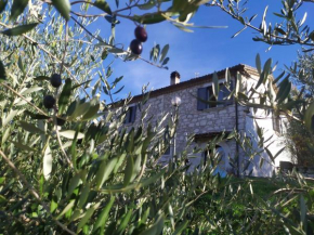 Casale Fonte Dolfa - Short rent nel bosco del Matese Guardiaregia